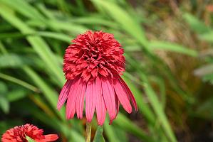2025-07119514 Tower Hill Botanic Garden, MA
